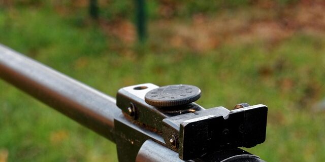 Find de perfekte hagl: Din guide til optimal præcision med luftgevær