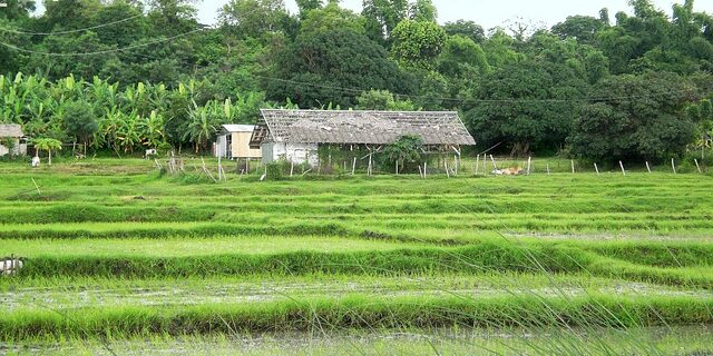 Er det tid til at skifte fagforening? 5 tegn du skal holde øje med
